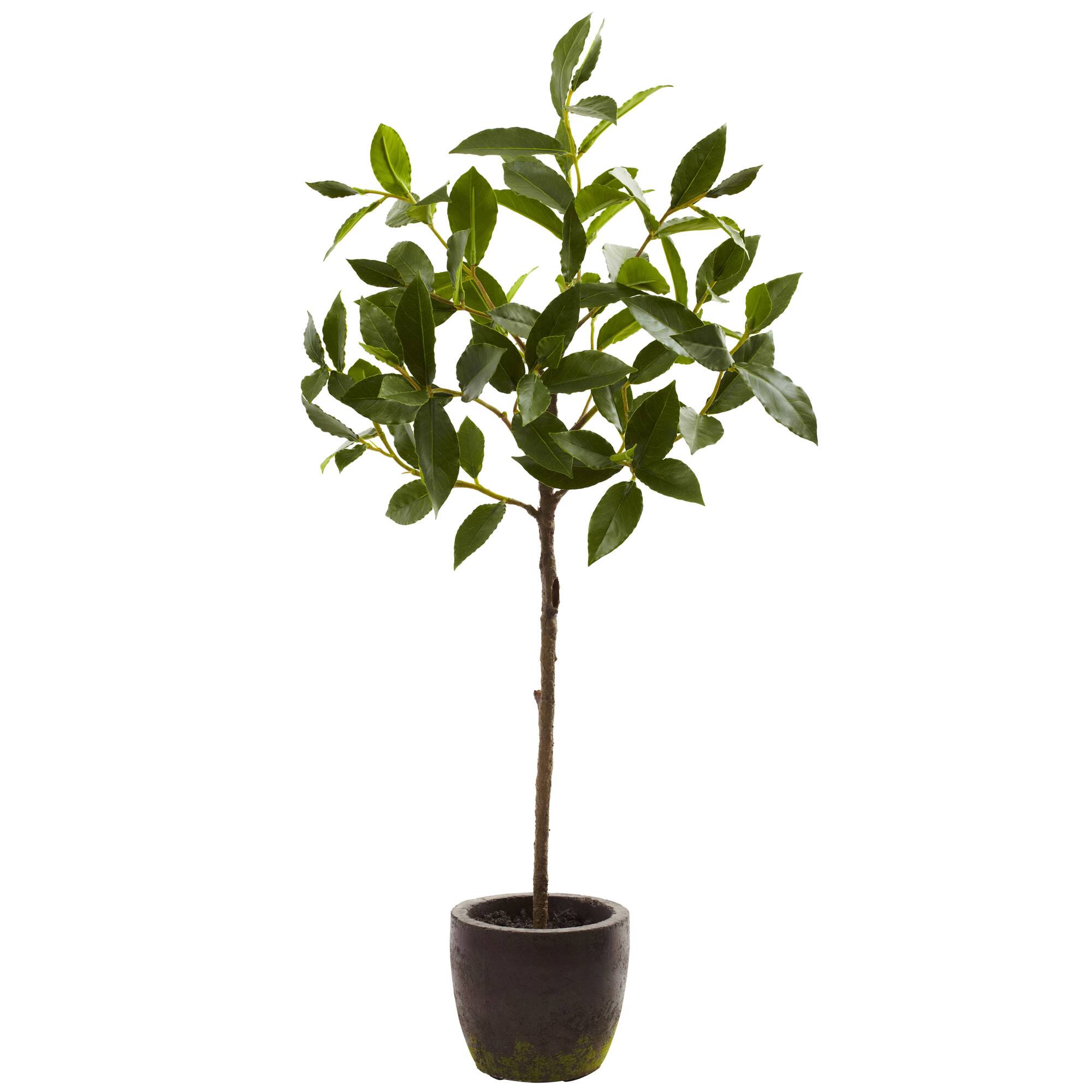 2.5ft. Topiary in Decorative Planter
